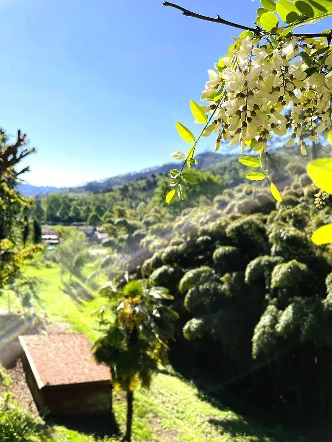 Holiday home Residenza Il Colletto Villa Camaiore