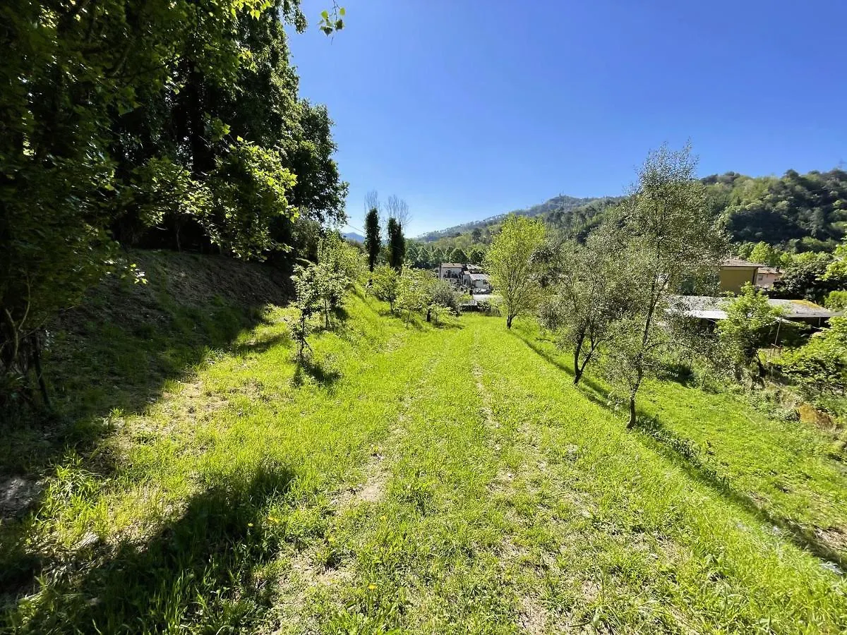 Residenza Il Colletto Villa Camaiore Holiday home