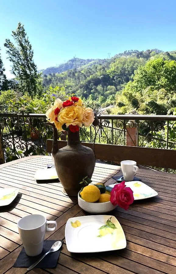 Residenza Il Colletto Villa Camaiore